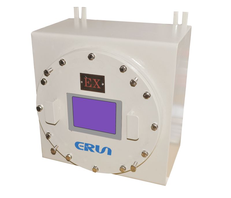 ERUN-QZ9120防爆在線式氫氣純度分析儀